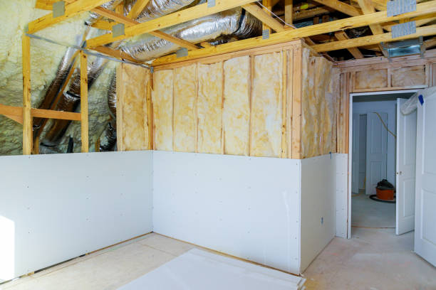 Best Insulation Replacement Services  in Merryville, LA